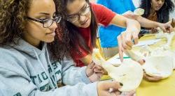 Photo of two students looking at a skull