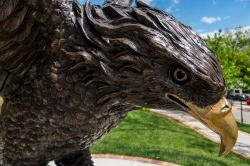 Close-up photo of Montclair State Red Hawk statue