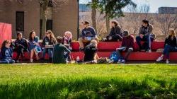 Photo of students in discussion in a class meeting outdoors.